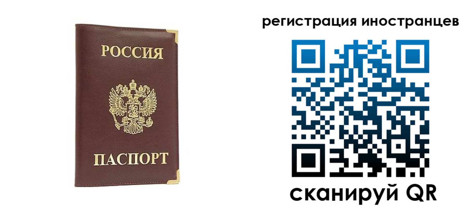 регистрация в Дальнегорске